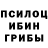 Псилоцибиновые грибы GOLDEN TEACHER MegaDel777