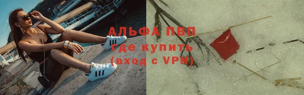 гашиш Богданович