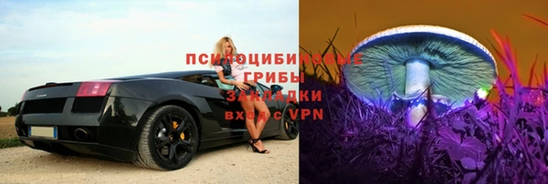mdpv Богородск
