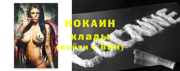 таблы Богородицк