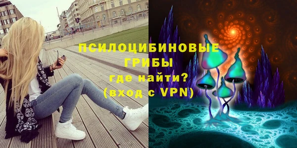 mdpv Богородск