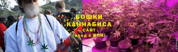 гашиш Богданович